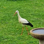 Bed & Breakfast Sainte Hune Et Hunawihr