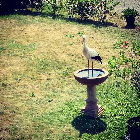 Sainte Hune Et Panzió Hunawihr