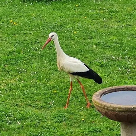 Panzió Sainte Hune Et Hunawihr