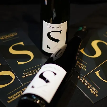 Sainte Hune Et Panzió Hunawihr